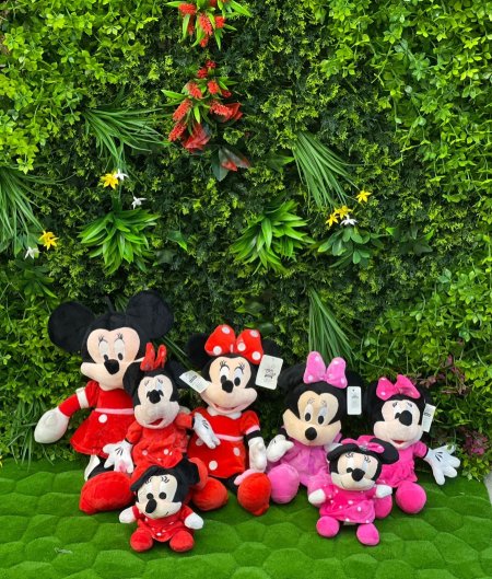 ميكي وميني ماوس